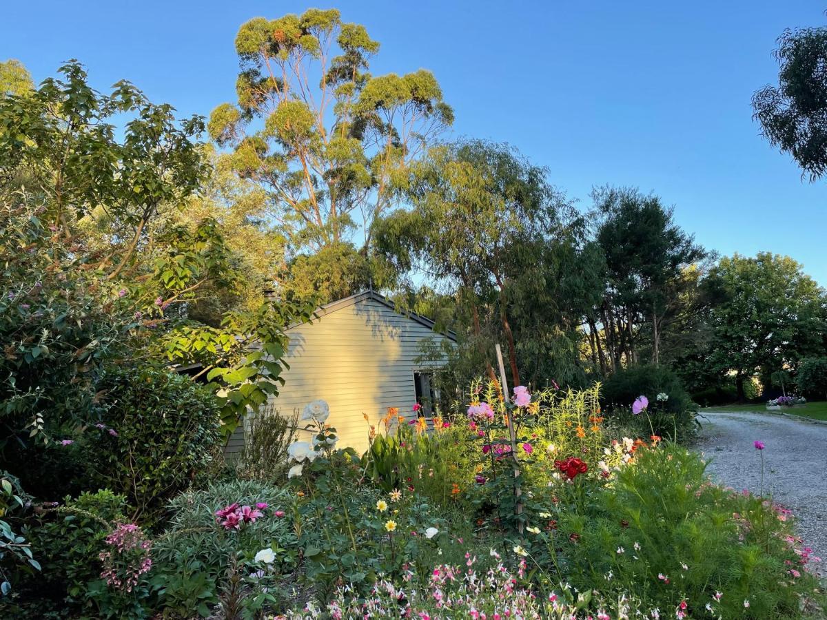 Tindoona Cottages Foster Exterior photo