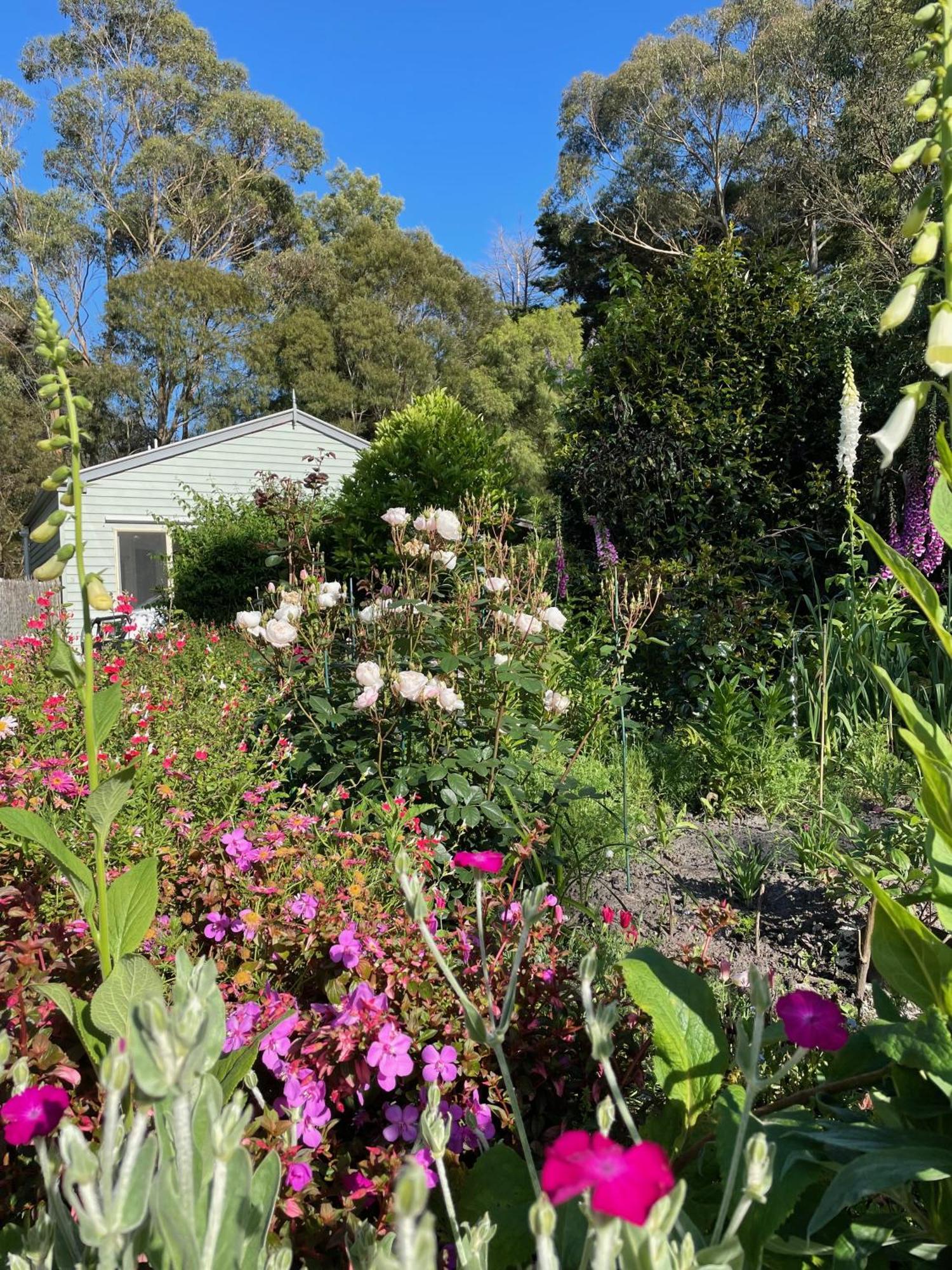 Tindoona Cottages Foster Exterior photo