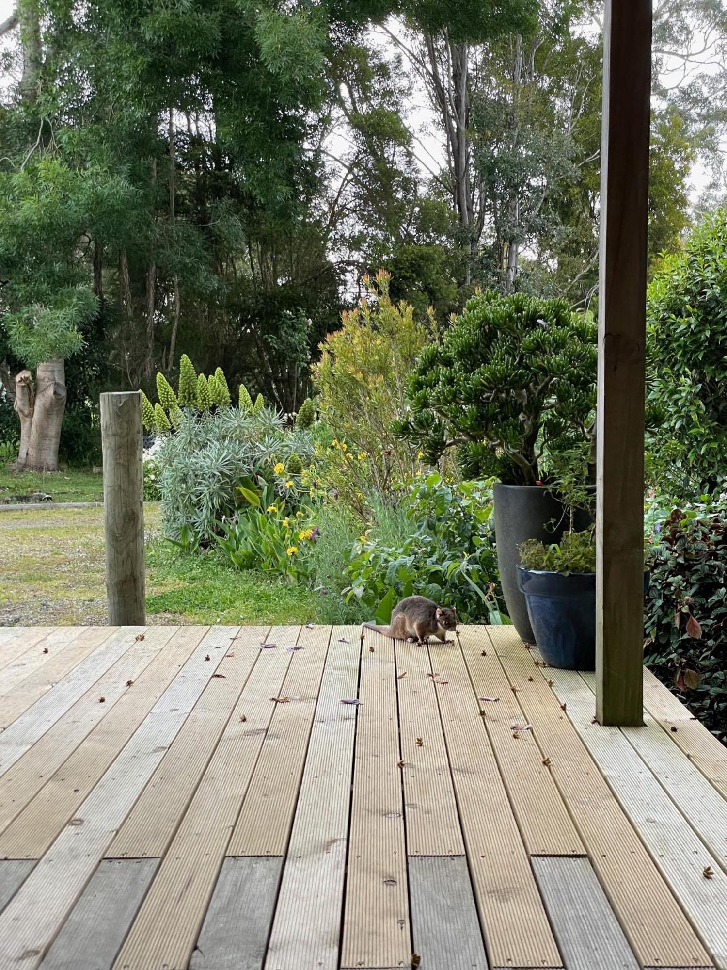Tindoona Cottages Foster Exterior photo