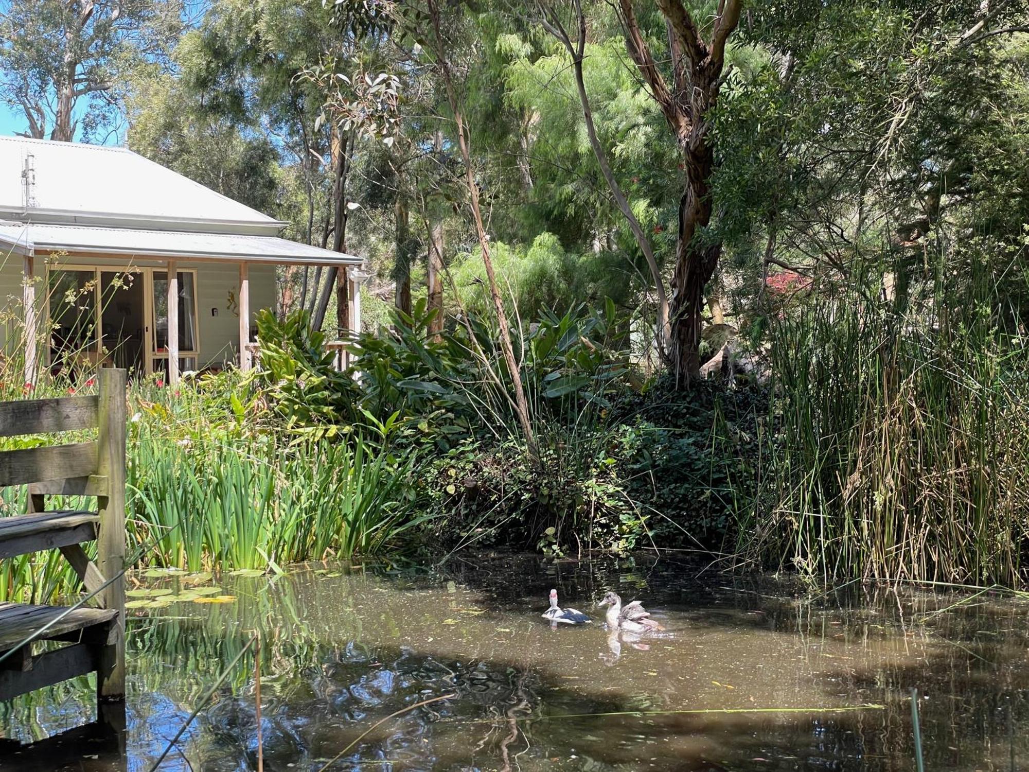 Tindoona Cottages Foster Exterior photo