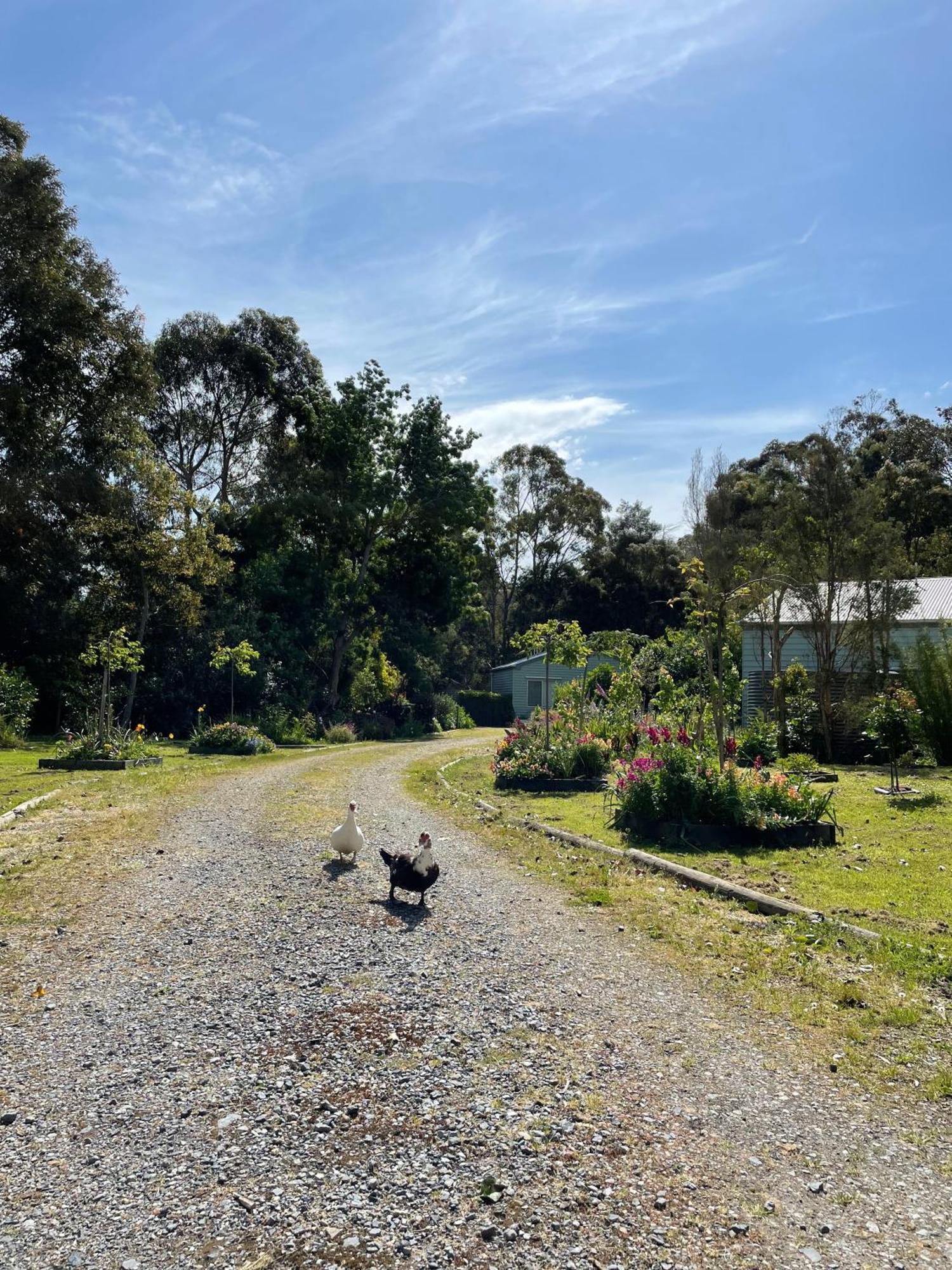 Tindoona Cottages Foster Exterior photo
